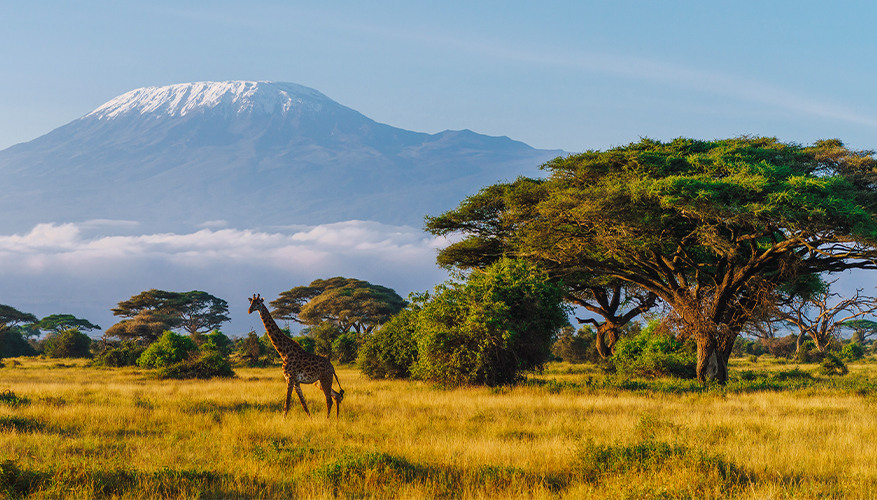 Mount Kilimanjaro, Africa
